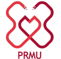 Partner university 4